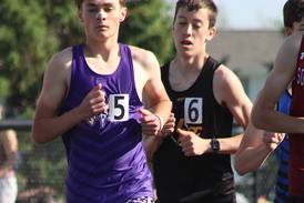 BOYS TRACK: Three Wolverine events make state track