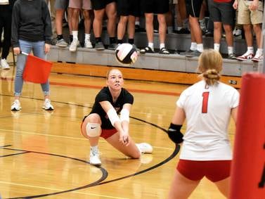 Panther efficiency leads to regionals sweep