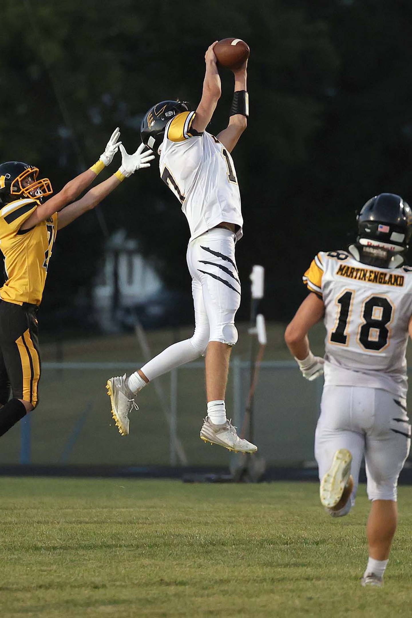 Gabe Funk leaps for an interception for the Lenox defense. Funk had five interceptions and 53 tackles as a senior.