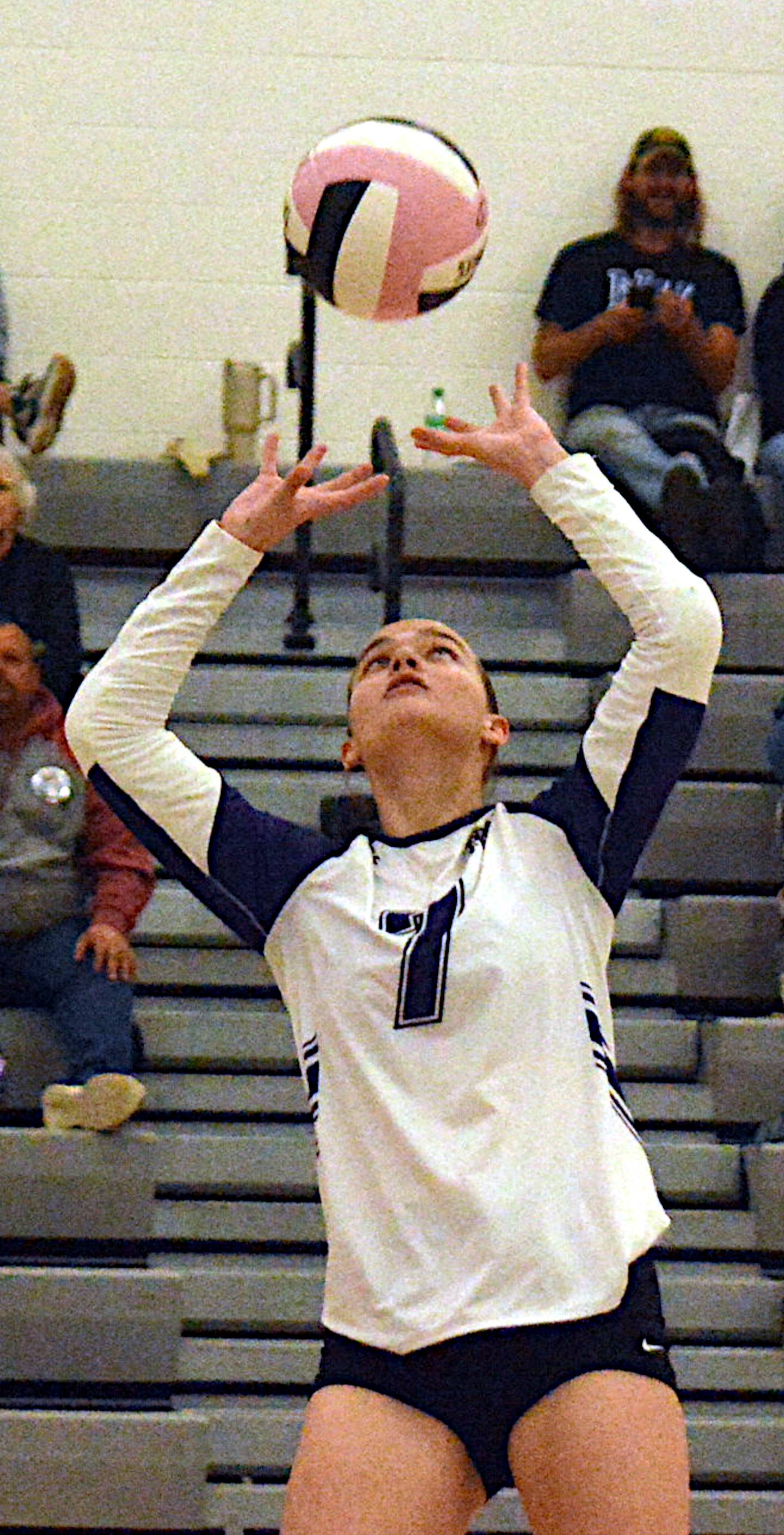 Wolverine junior Adelaide Livingston sets the ball for a teammate during a Class 2A regional match at Stuart Monday, Oct. 20.