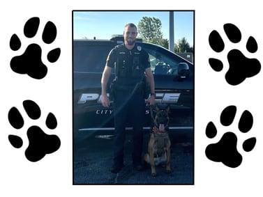 Sniffing out crime
