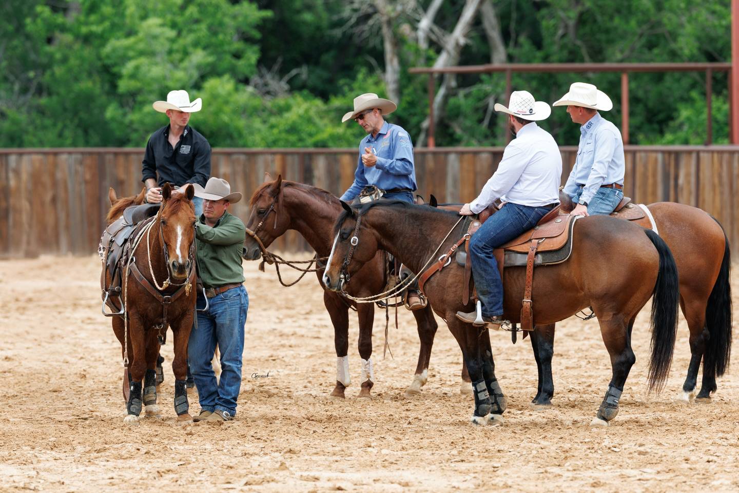 Based in Stillwell, Kansas, War Horses for Veterans is an equine-based therapy program for PTSD veterans and first responders.