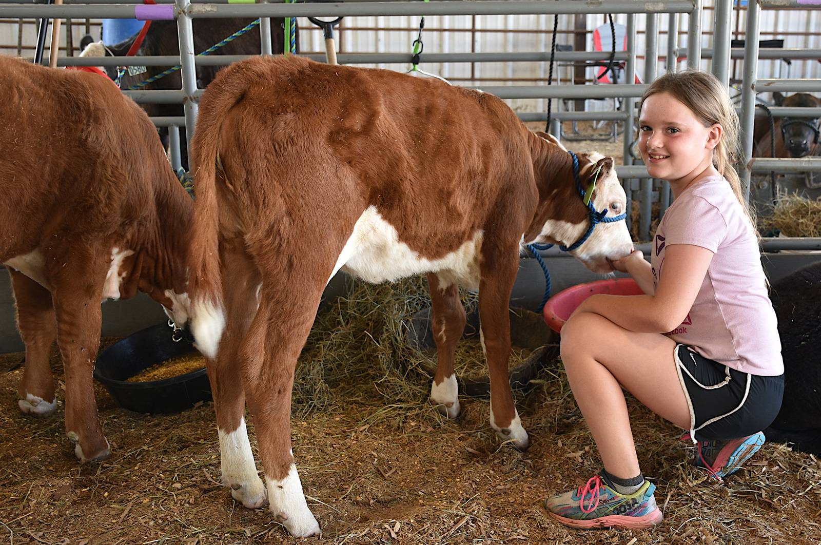 Union County Fair starts Thursday Creston News