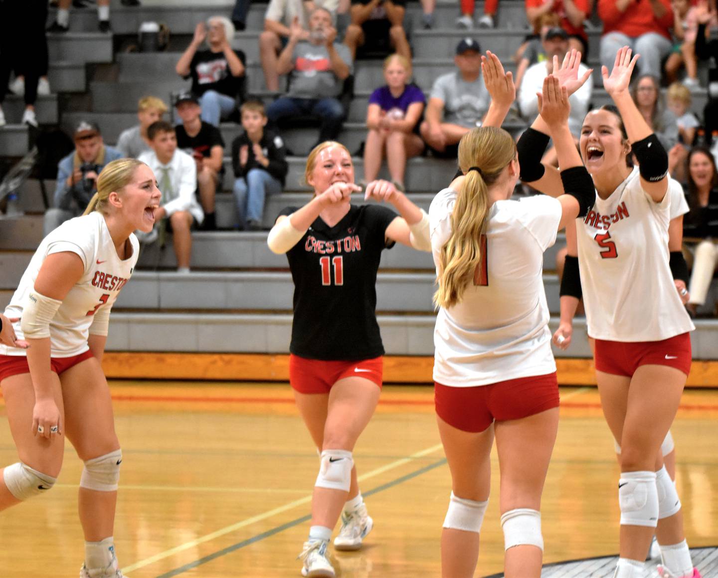 The Panthers celebrate a kill by Braylee Pokorny (No. 5) in the first set. From left, Jaycee Hanson, Avery Staver, Kadley Bailey and Pokorny.