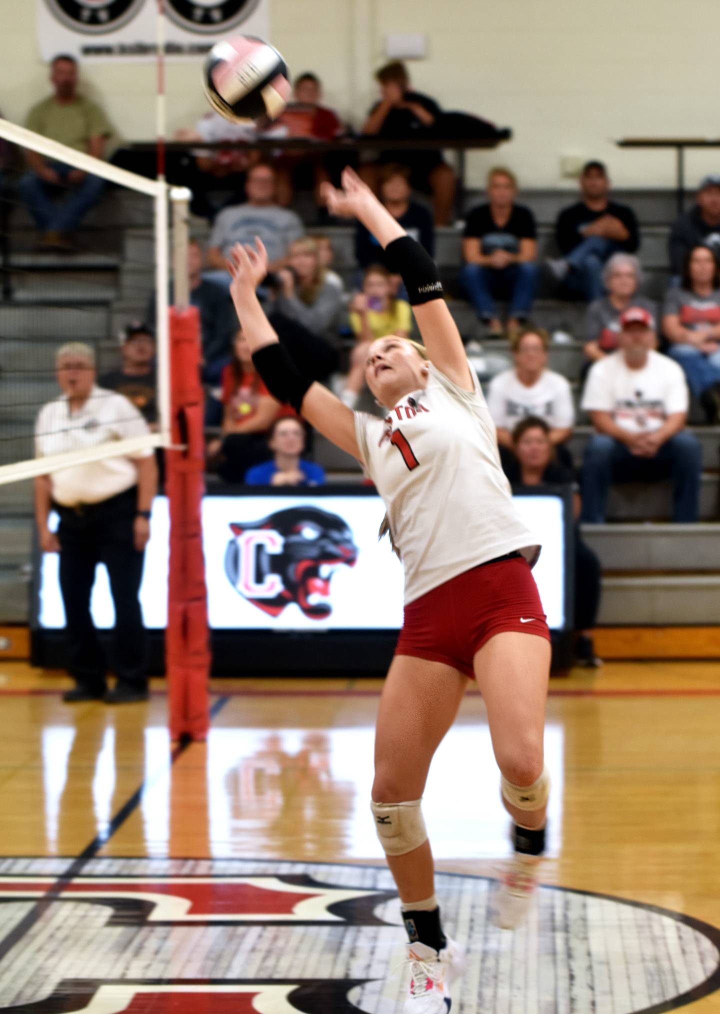 Senior setter Kadley Bailey dumps the ball over Tuesday. Bailey logged 38 assists.