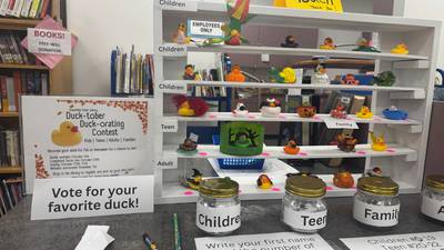 Report: Walk-ins, digital checkouts up at library