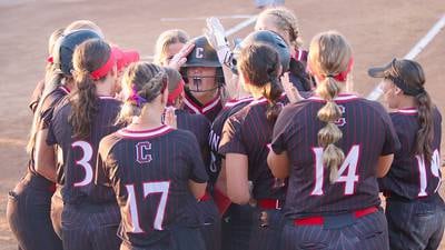 Panthers bow out in regional final