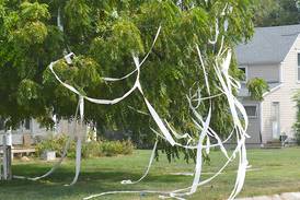 Afton resident pleads city to combat homecoming vandalism 