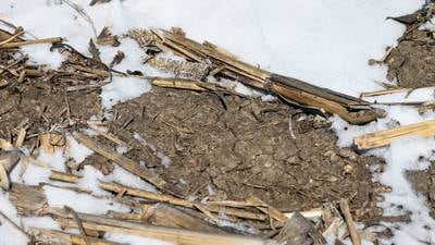 Farmers prepare for dry planting season