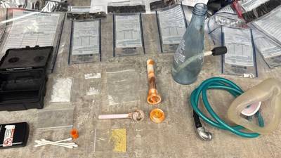 Creston K9 assists in drug charges for Tingley man