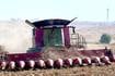 Diseased corn puts damper on otherwise strong output