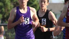 BOYS TRACK: Three Wolverine events make state track