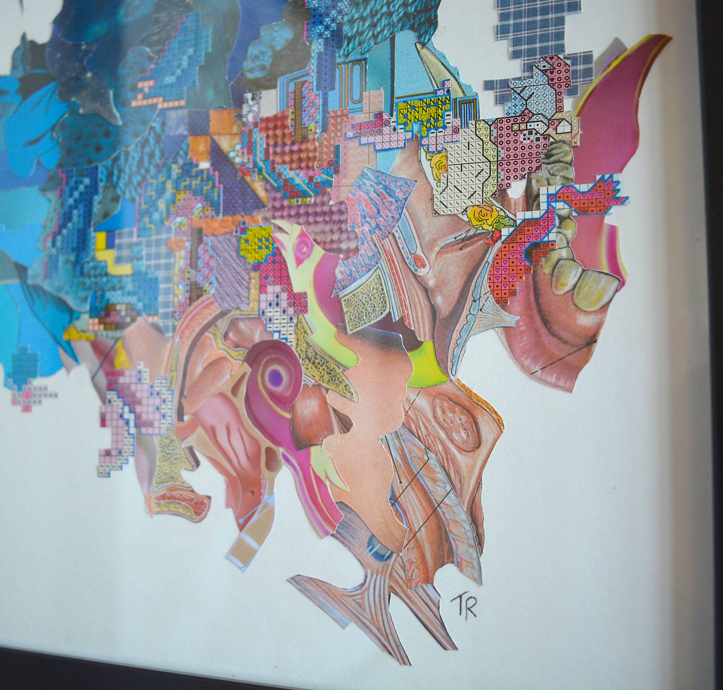 Diagrams of human anatomy comprise one of Reis' "Recompositions" series of collages.