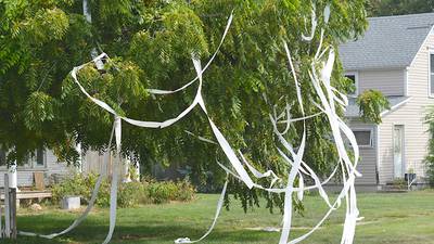 Afton resident pleads city to combat homecoming vandalism 