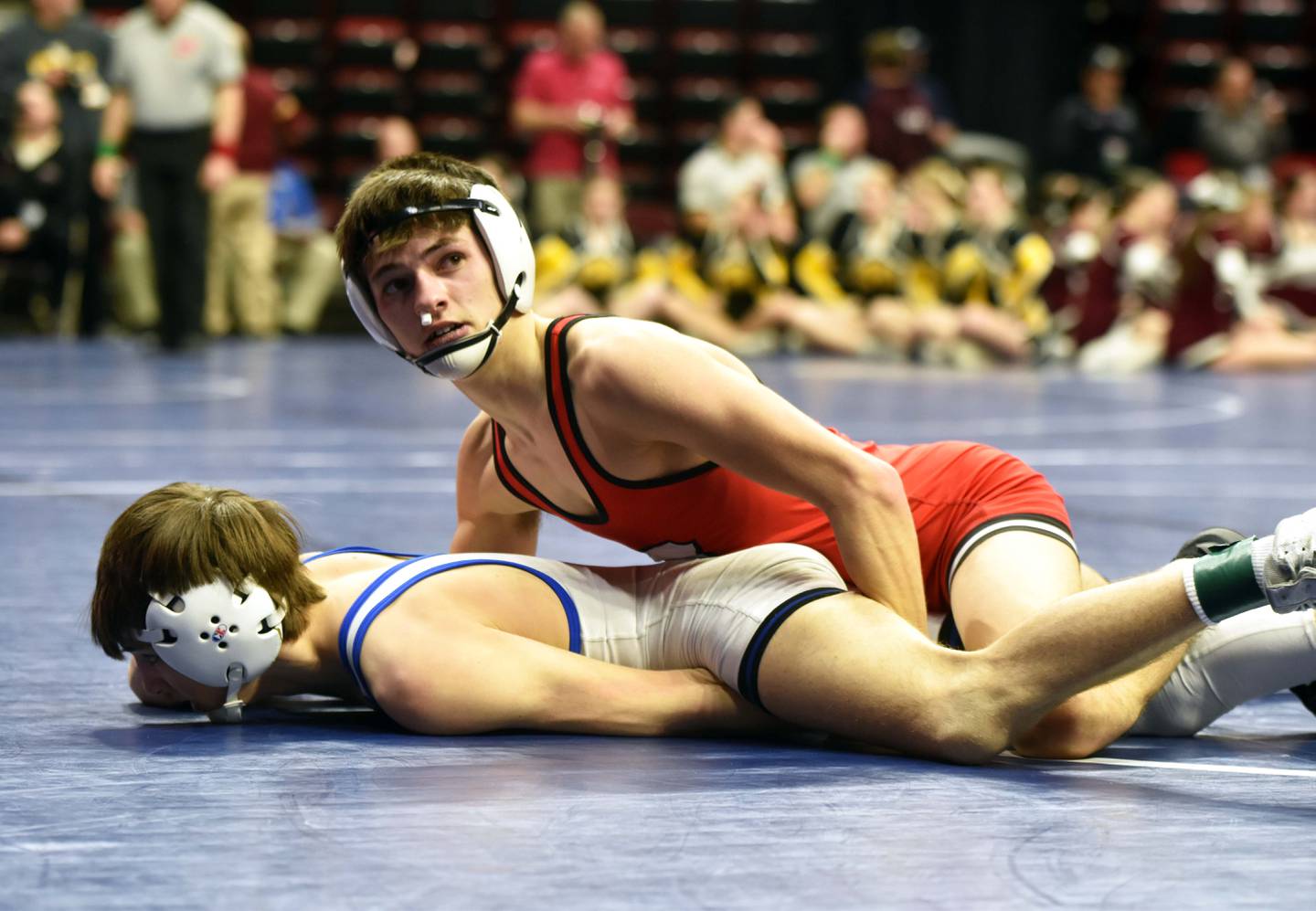 Lane Travis works on top against Ryan Cassady of West Liberty. Travis won the bout 10-5.