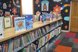 Progress flies with library goals