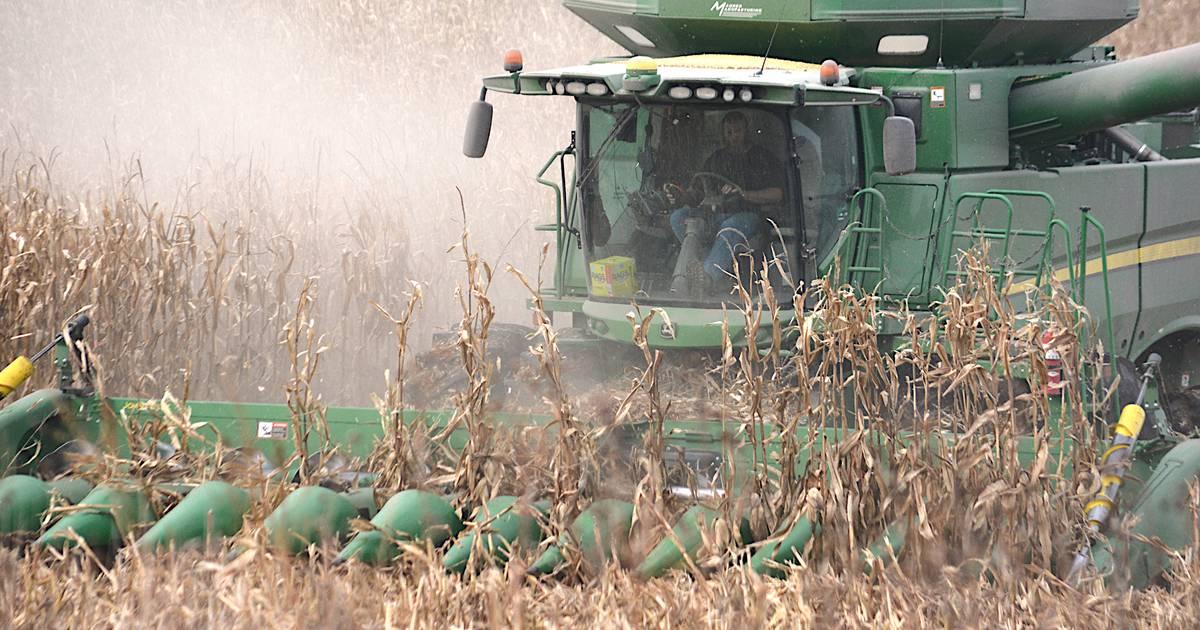 Farmers put finishing touches on 2023 harvest – Creston News