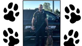 Sniffing out crime