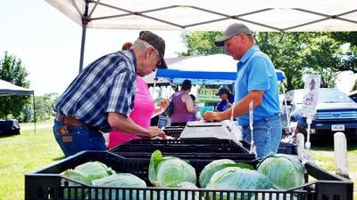 Farmers market managers report farm-level benefits for vendors