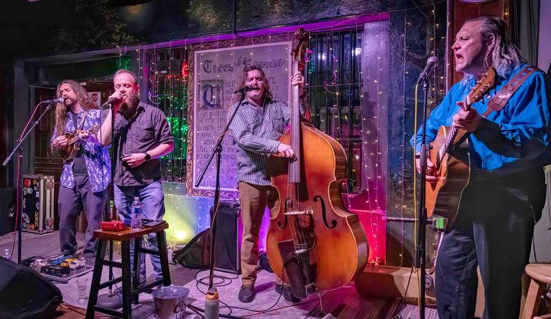 The Haymakers, from left to right, Evan Ogborn on mandolin, Dustin Arbuckle on harmonica and lead vocals, Celeb Drummond on upright bass, Tom Page on guitar.