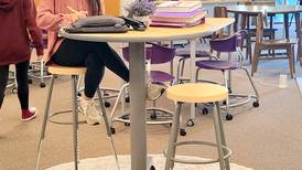 Front covers of school libraries receive facelift