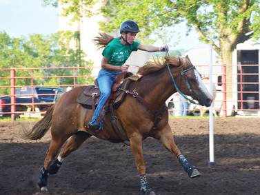Fair board hopes to cover horse arena