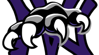 Wolverines drop three matches at GVC