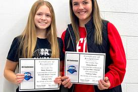VB: Wolverine duo on all-conference