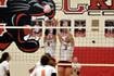 No. 4 Tigers take down Panthers in three