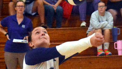 VOLLEYBALL: Wolverines top Wayne, swept by Lenox