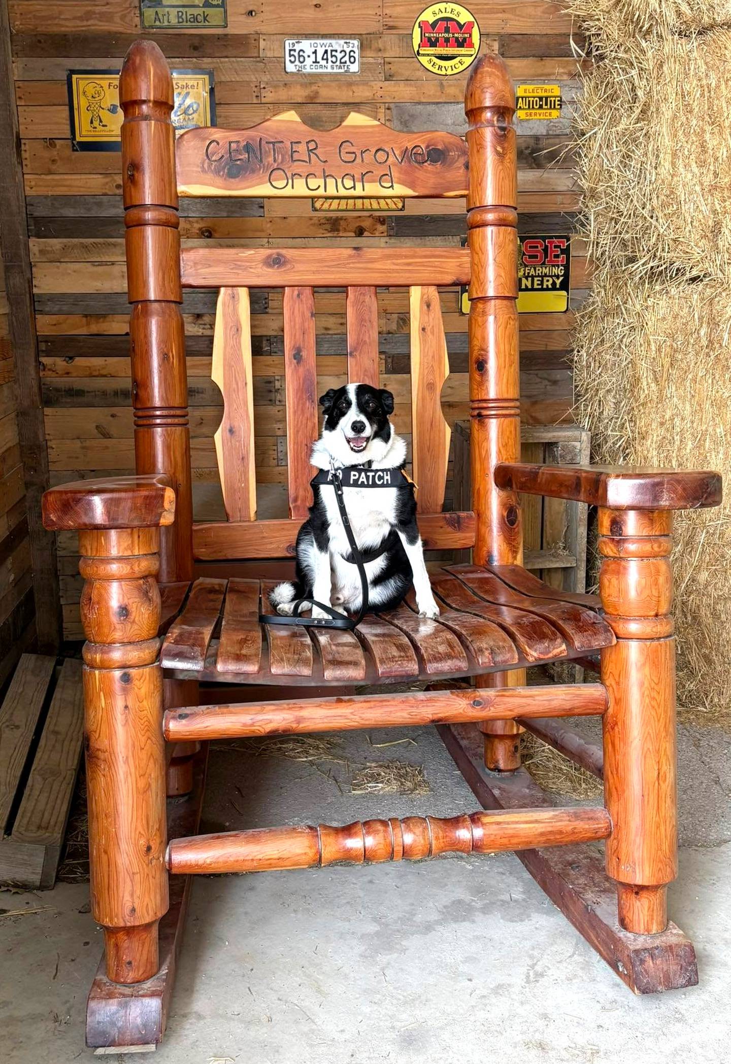 Patch prepares for a week of training at the academy.