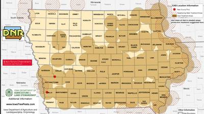 Emerald Ash Borer discovered in Mills and Shelby Counties