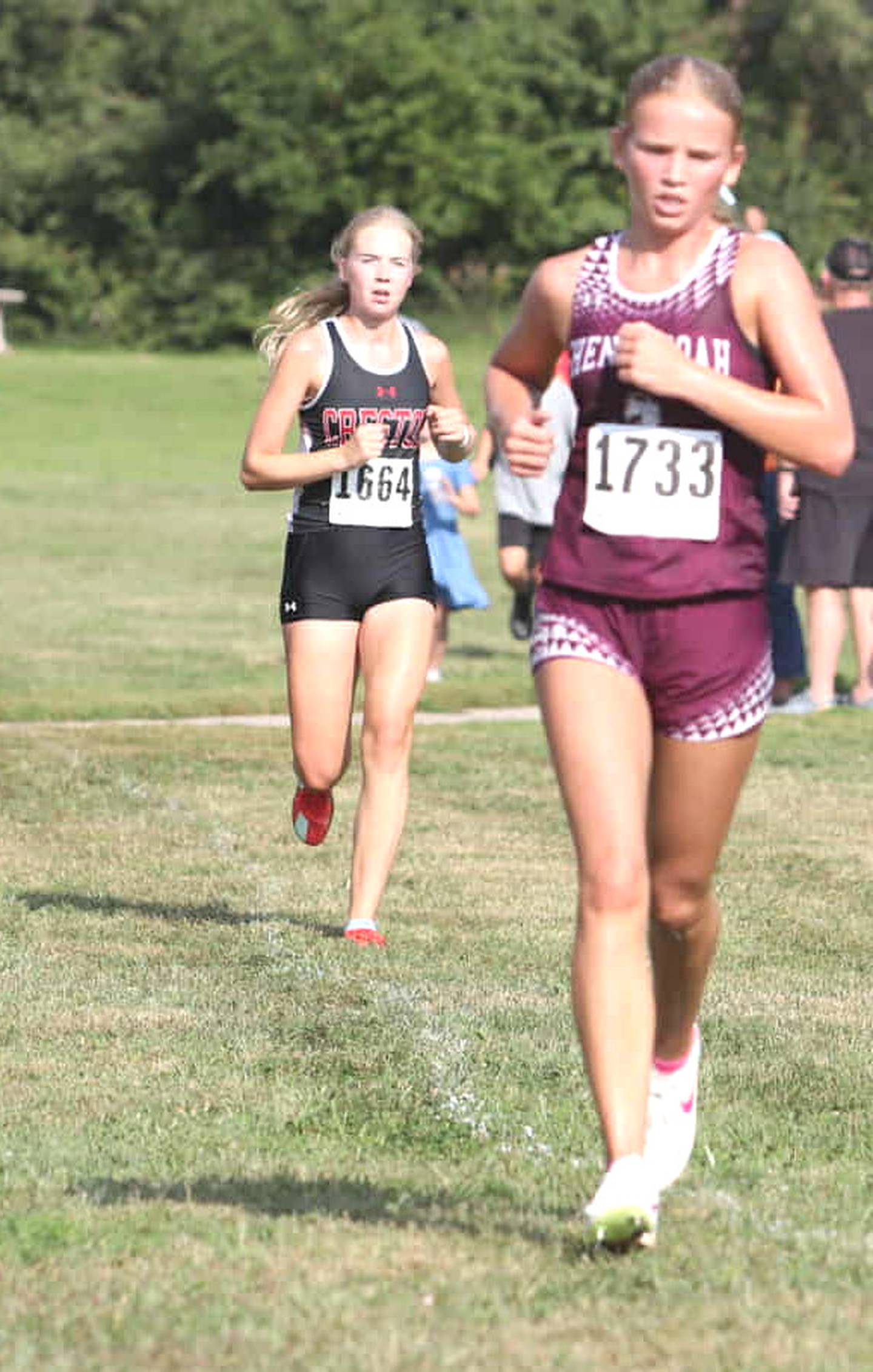 Junior Reese Strunk placed ninth at the meet, finishing with a time of 21:59.59.