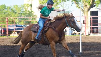 Fair board hopes to cover horse arena