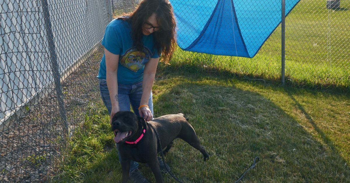 Animal shelter volunteers pay it forward for pets Creston News