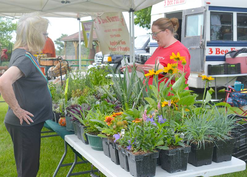 A vendor discusses gardening during 2024's farmers market. The first 2025 farmers market will begin on Monday, June 2 at 4 p.m.