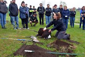 181 trees planted in one morning at the new lake
