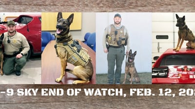 ‘Part of my identity is gone’