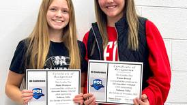 VB: Wolverine duo on all-conference