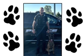 Sniffing out crime