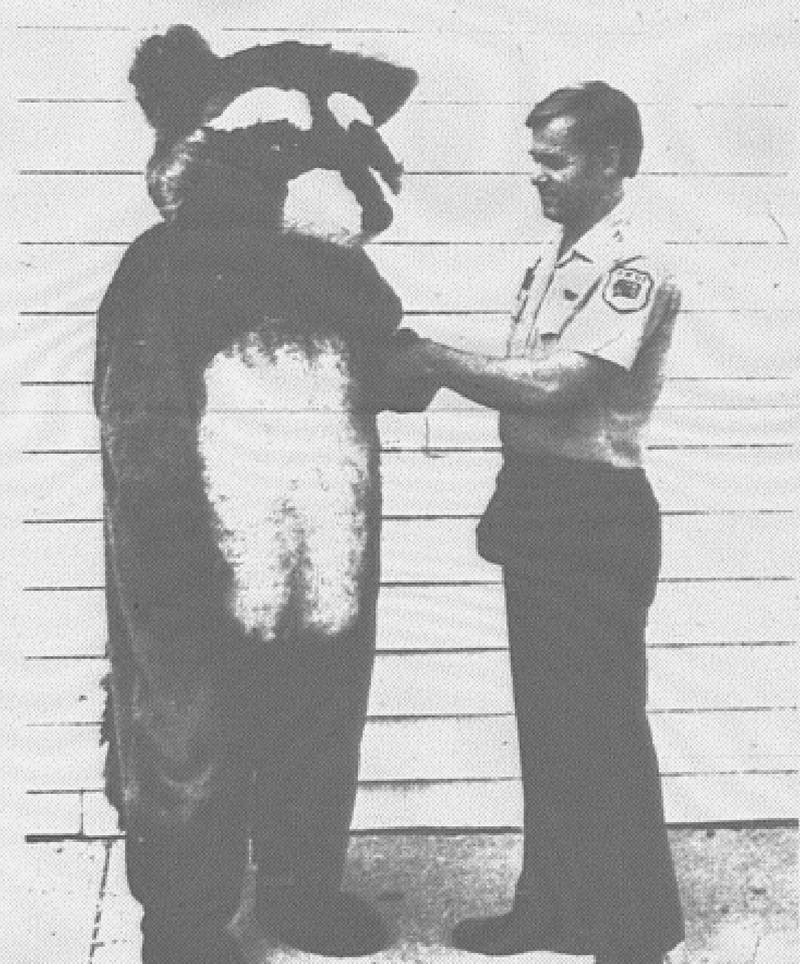 Ric Rac Raccoon is the new mascot of Iowa's state parks and he is shown here with Green Valley State Park Ranger Larry Lock. Ric Rac is here this week to help celebrate State Park Week, which runs through Saturday.