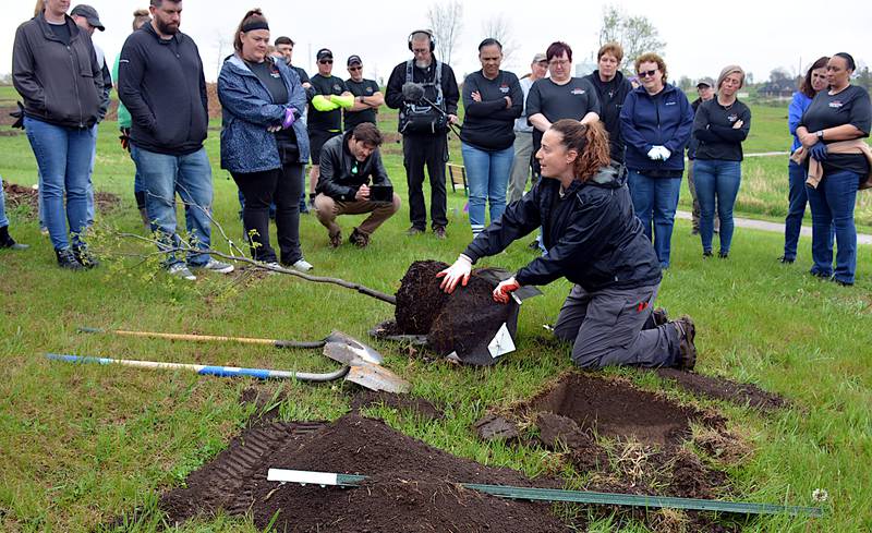 Iowa DNR Urban Forester Emma Hanigan shows volunteers how to check the root system of a tree before planting it Thursday, May 1 at Lake Greenfield.