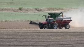 Uncertainty grows amid rising crop prices