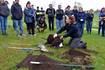 181 trees planted in one morning at the new lake