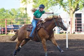 Fair board hopes to cover horse arena