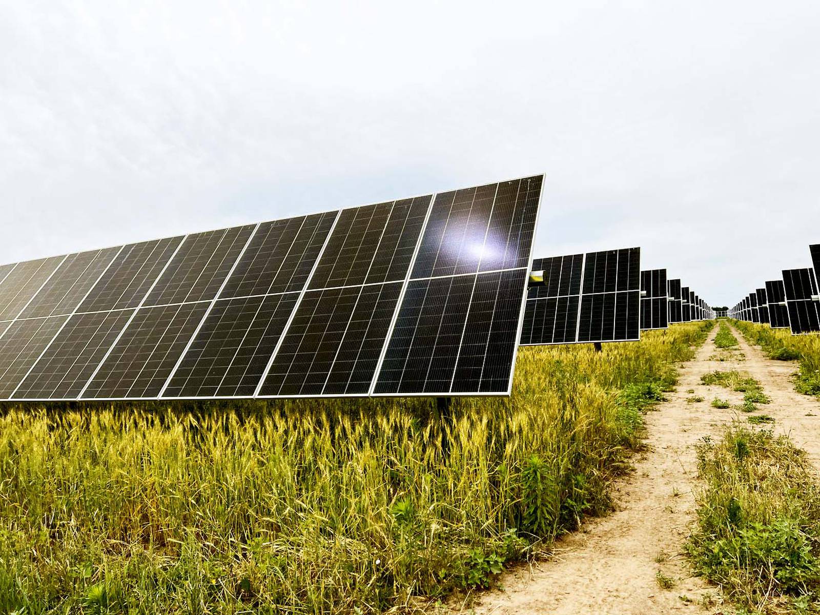 Alliant to build 8acre solar grid at school Creston News