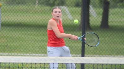 Panther girls fall in semifinals