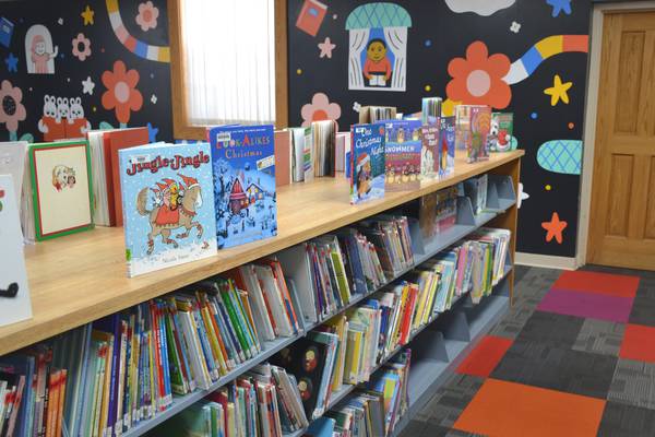 Progress flies with library goals