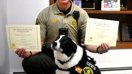Canine comfort in a crisis