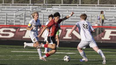 Panthers on a hot streak with two straight wins